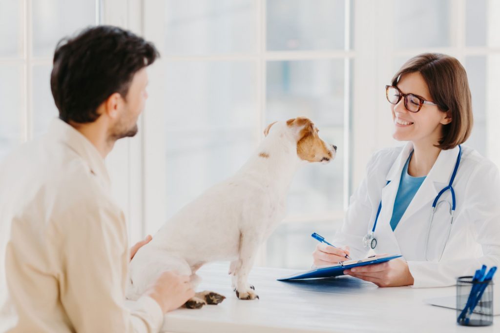 Why is veterinary care important